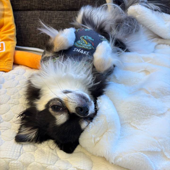 79a64117 2e33 4e3f 84a5 f9bcf0b12955 1736613208302