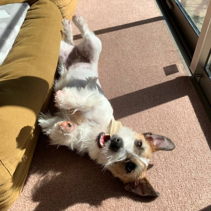 79a677b5 f1f9 47e2 8298 7462710e41e2 1582082626585