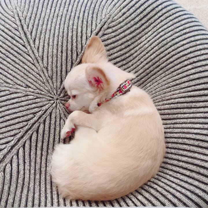 79a6c664 0240 43c9 acdd fc6f60601ca8 1725360158369