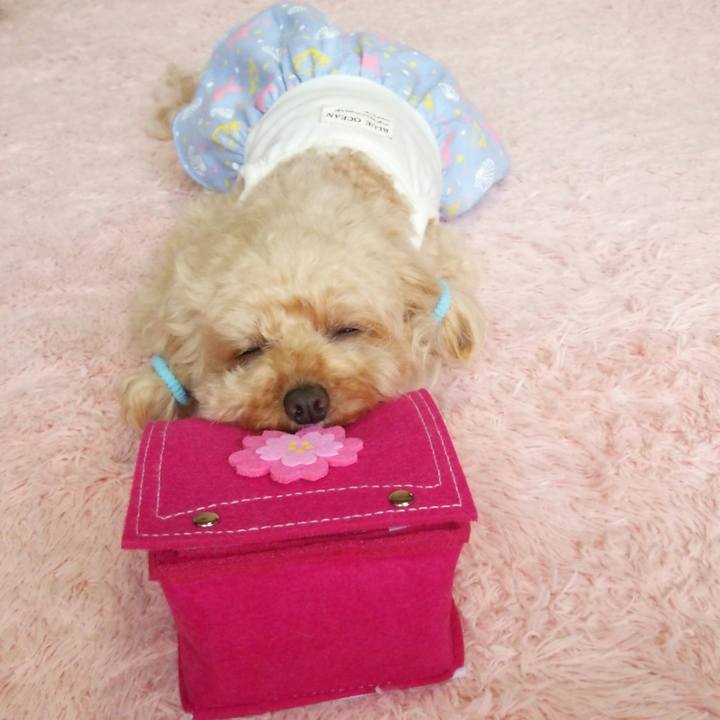 79a6ec79 c98b 4aa1 a235 b2d1aabc1ce1 1555505752619