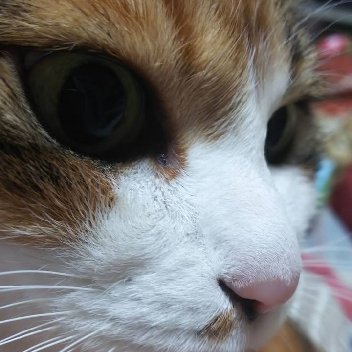 79a7272e 9116 4855 8ccc 9ddf7e18ca78 1585000821178