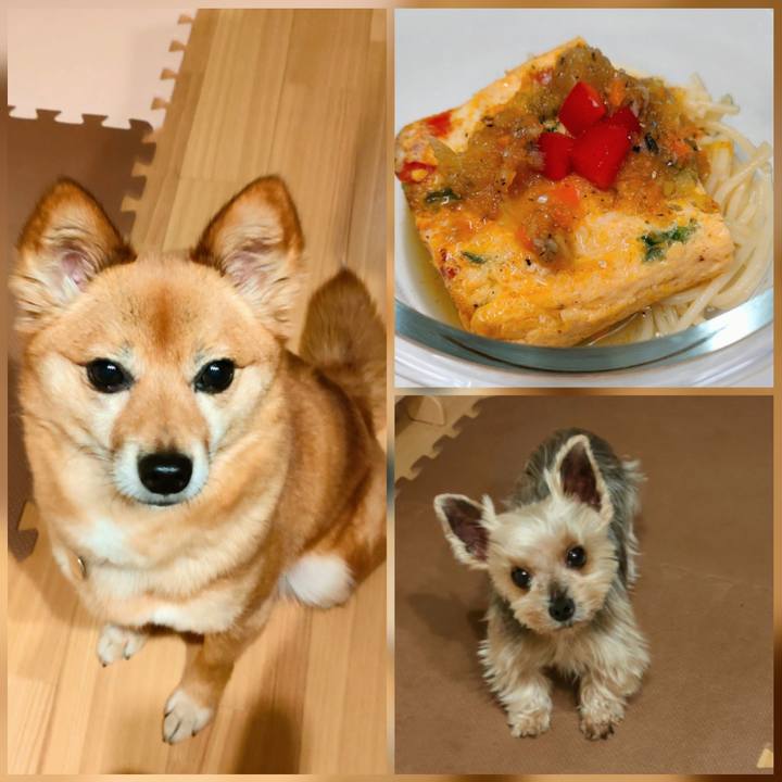 79a749c6 8a74 45b7 8b8b e33fb2542794 1652359046410