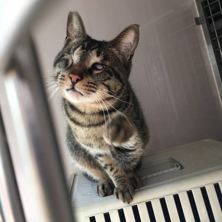 79a74c14 2588 4945 91be 137b9ea8dc63 1582881418028