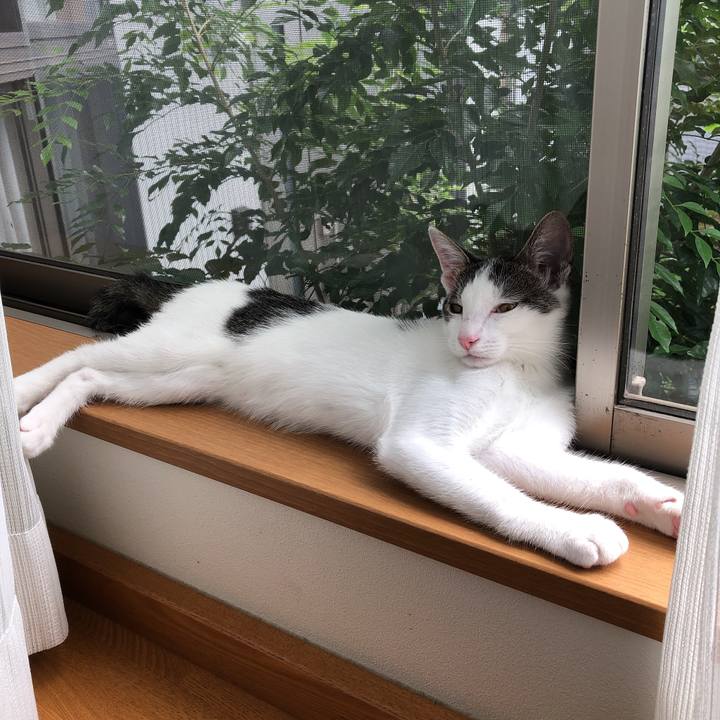 79a75d29 a6ec 4942 844d 3b46fcc09345 1567582634774