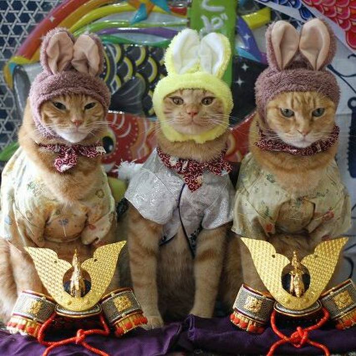 79a77bd2 ac9e 458c ad98 e1bdbe858eb7 1557015209448