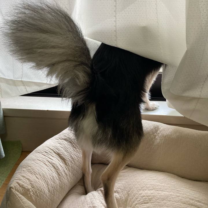 79a79493 64bd 4531 bb18 4e6635c4dc26 1621053712486