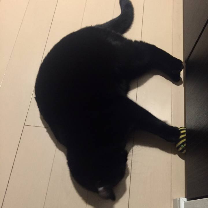 79a7a281 0e49 4394 be99 280e316c154e 1522152647644