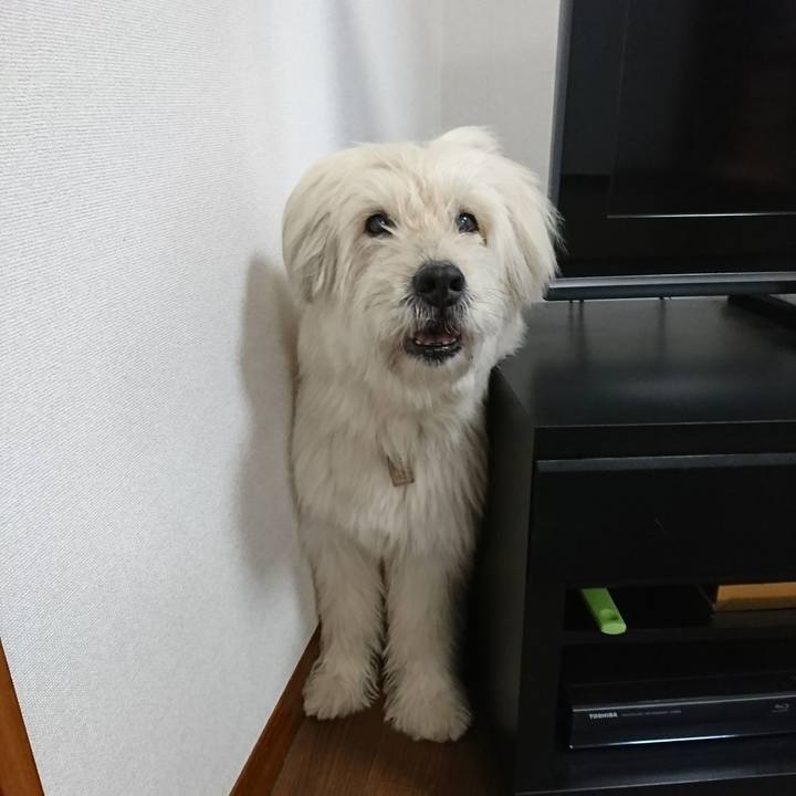 79a7c9d3 e387 4e95 91c0 bb8521aa4094 1581233515551