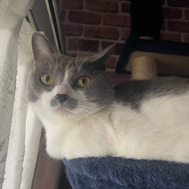 79a7cd8f 17c5 4b6c b73a 0ed69a669efe 1672355828206