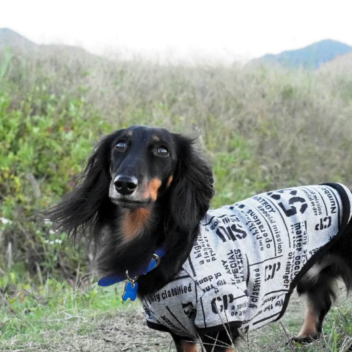 79a7de60 6426 4d21 af6a 72f6d7ed55ea 1543734566835