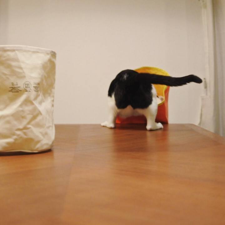 79a7de8c 5746 4c3b 9bbe 5916d3e420e9 1520078733705