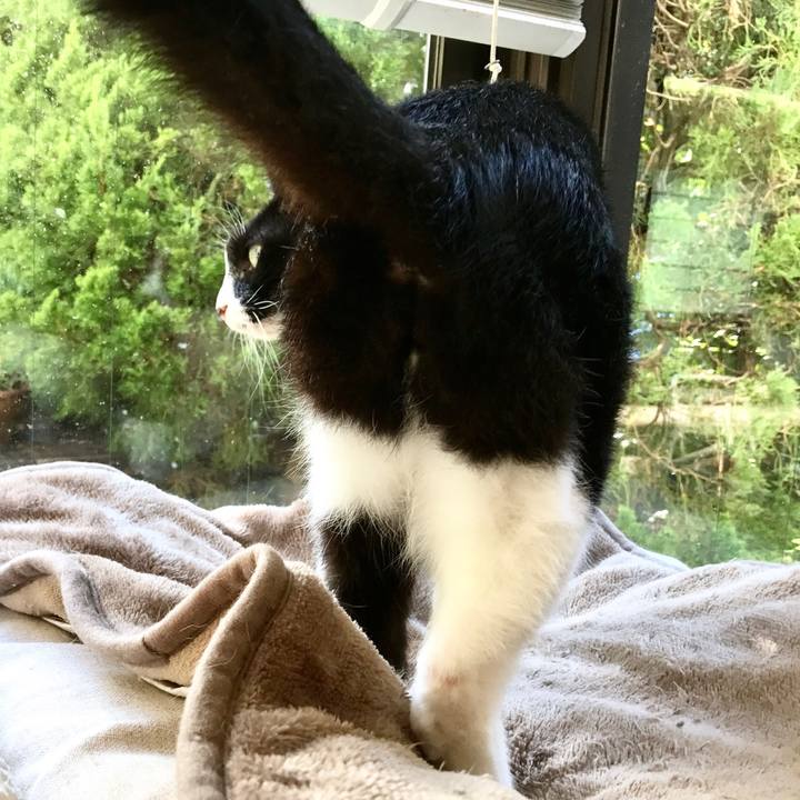 79a7dfb9 9ca6 4e0c bf0e a896160ba95b 1508922556966