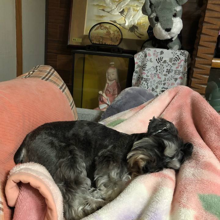 79a7e7ad 675d 4350 84bc 19ce37f48481 1616336930530