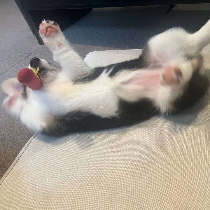 79a80954 ef79 4d61 8b92 981d9db0a565 1771982244840