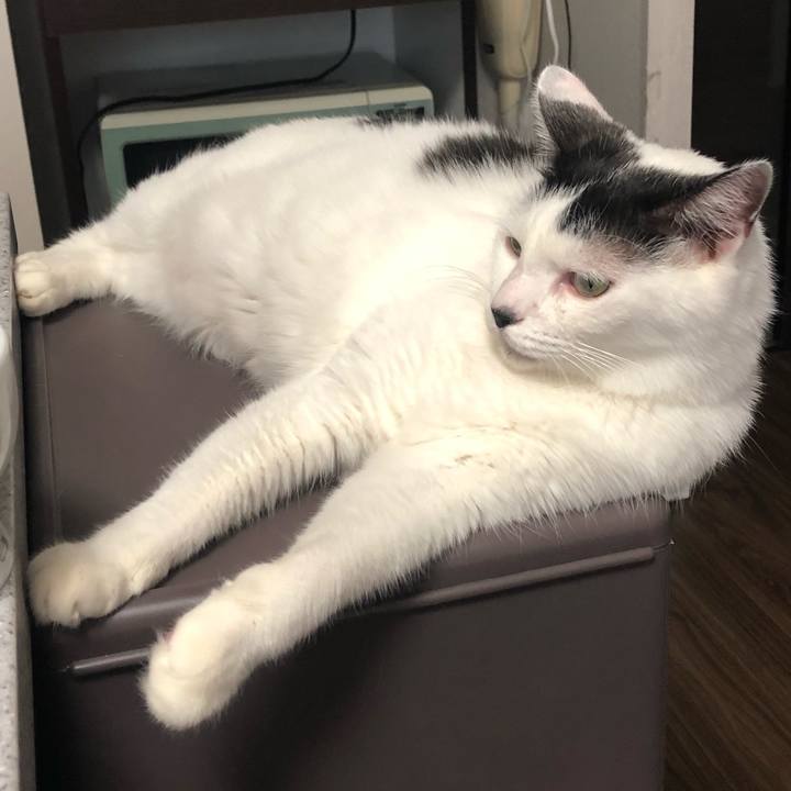 79a8e6c5 e366 4bb5 9b17 554eb9b3ce58 1601505964039