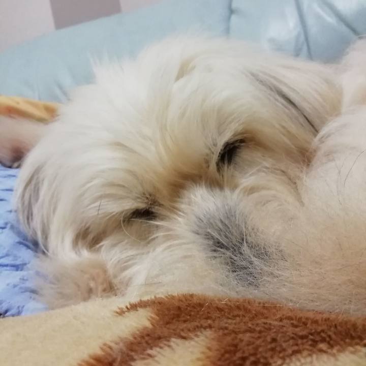 79a910ce b012 4836 871a 788a9c1f87c3 1553124263350