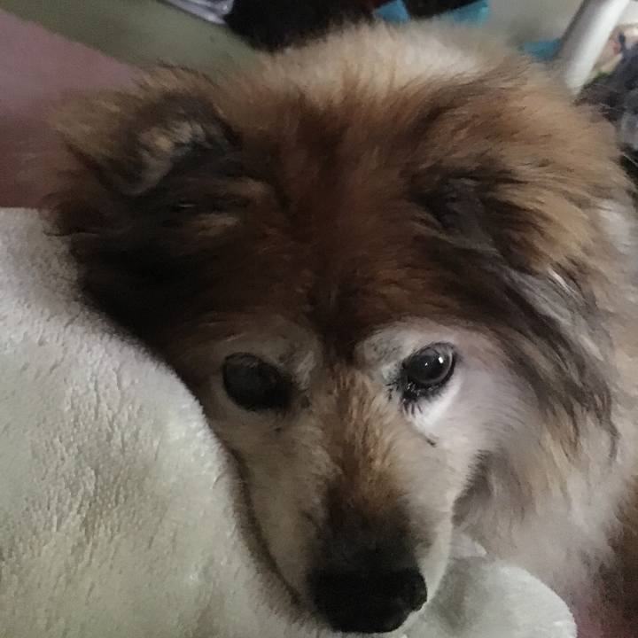 79a91bc9 23da 4726 ba5c 9293c4848982 1571107599368