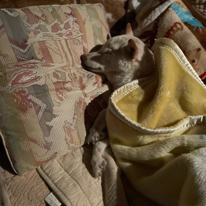 79a95cc1 9168 45c2 976b 43f3c26e4d9c 1648827307026