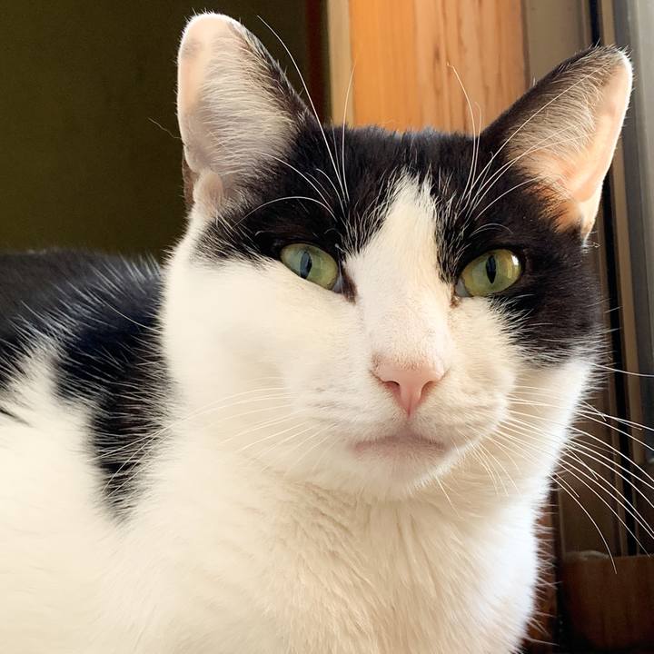 79a96da0 51cf 40f2 b172 34989b7932e9 1575943162462