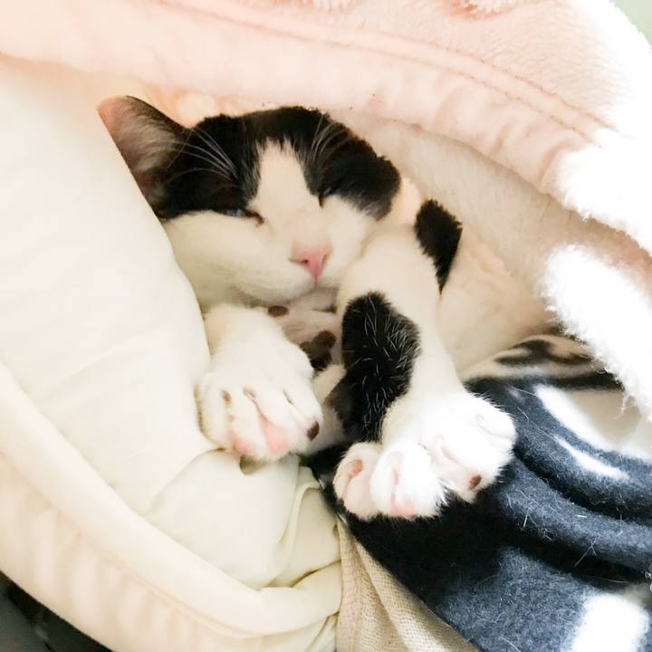 79a98c7a 3674 498b 95b0 fd40cc48dcc0 1520211855713