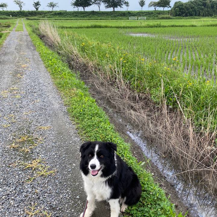 79a99013 a539 41a4 a1f8 2872b6c104a0 1595718826810