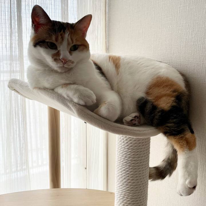 79a9a06a 2941 435b ad0c ac6509b6ad50 1615854205186