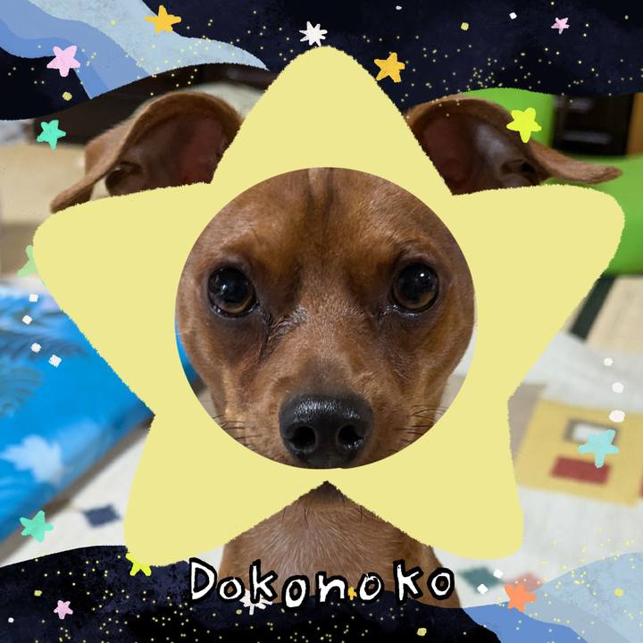 79a9b88f 2938 4d00 b501 e135a4e4dc8f 1720938235862