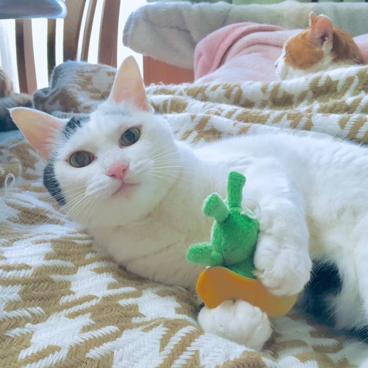 79a9cd83 3548 4065 9018 62ae0d5d63b9 1568379789564