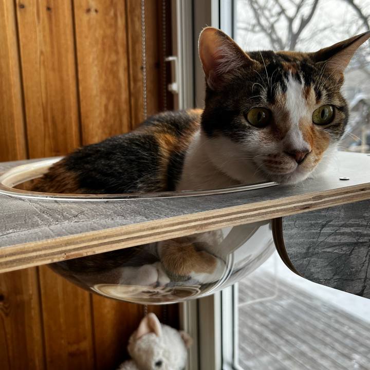 79a9e193 e6fc 47c1 b6d6 b01b23148c58 1707606004294