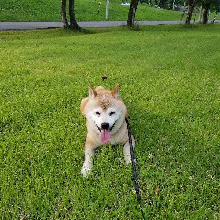 79a9e50e 1671 4a1e bac7 f4390bfce6a0 1721377717381