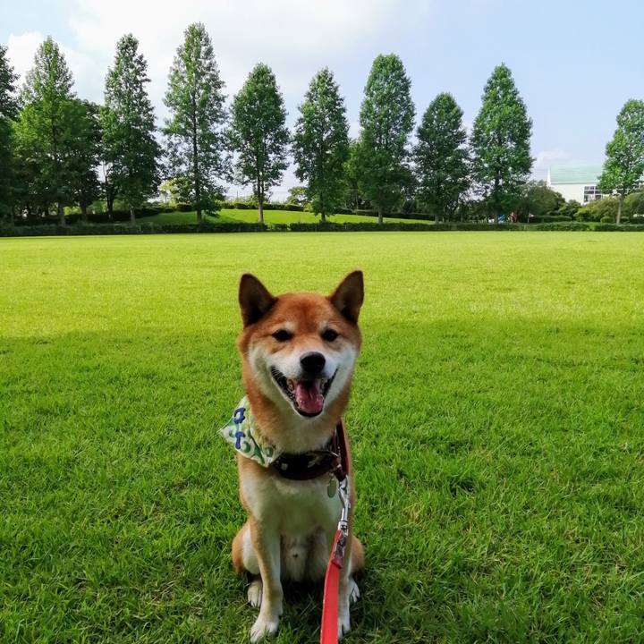 79a9ea02 8bb9 4bf6 aac3 a19ca07c6e86 1596673765269