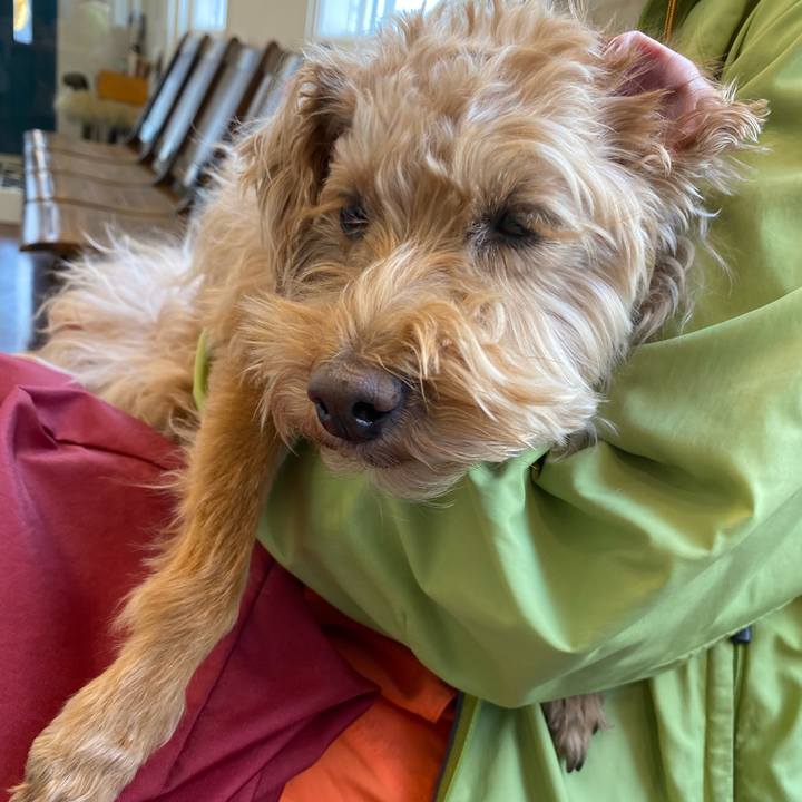 79a9f3d4 d7c8 4060 8c05 b8f03975712c 1649466616526