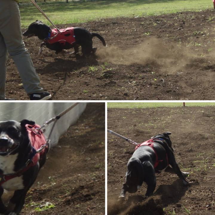 79a9f956 b381 4746 b083 345beb755e4a 1681346264825