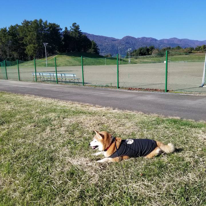 79aa07b8 c285 4f79 a70c 9c46c117a96c 1730696355570