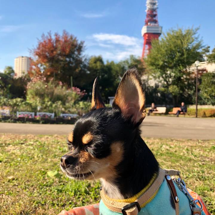 79aa2928 c11a 40d7 9575 a888cdbfdcff 1511620876740