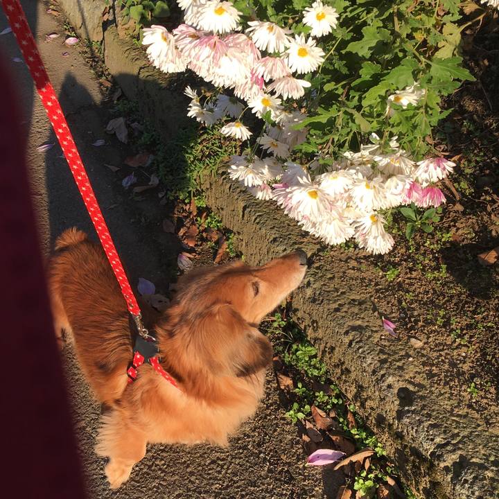 79aa2ae0 ffe4 4024 a5b8 195820b798c5 1607344589078