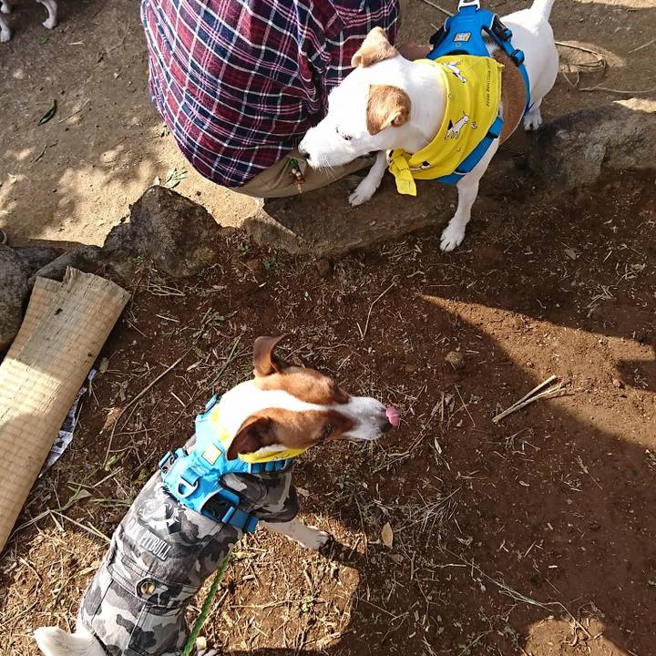 79aa3fde f618 4ebf b97a 996e99623a23 1576415521358