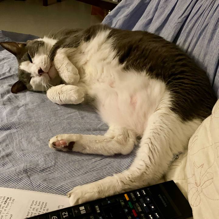 79aa4305 b798 458c b6a9 34022c771e8c 1756654992341