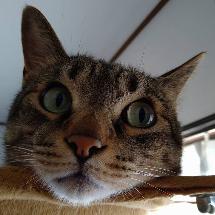 79aa75ec d0e0 4384 a7f6 8c8fe7876c3e 1626564343441