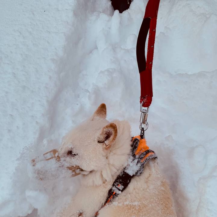 79aa7927 a764 4806 b5ec 30a414caa3b0 1671410752296