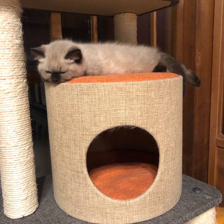 79aa80ee 0db5 42a5 aa71 48a6e5c3b424 1585783424921