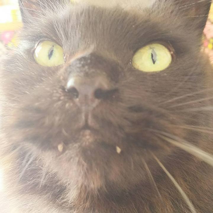 79aa8532 1f8e 41ac 8b21 8acdd838c313 1547868708231