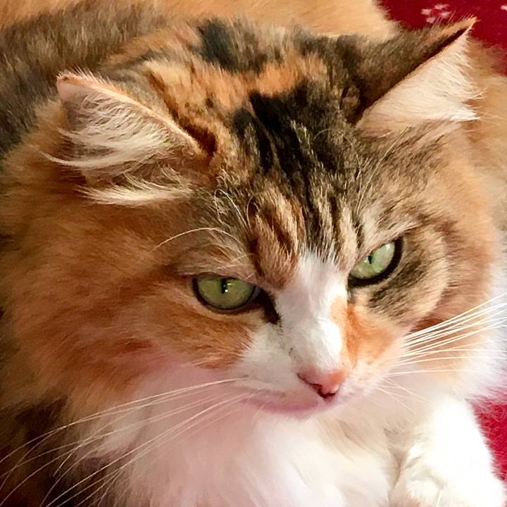 79aa8bb2 af4f 4bec a97c f2e6645ca700 1574321932022