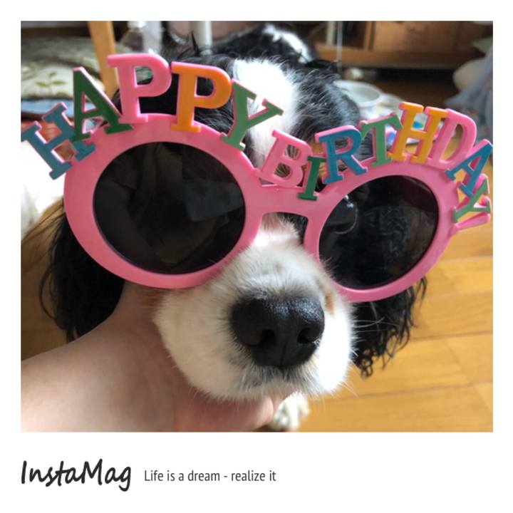 79aa93d1 a615 438b 8bd4 6715aba205d3 1530193870612