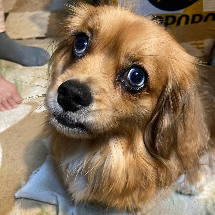 79aacb92 3bf0 4449 a015 64c29866beb1 1579817493504