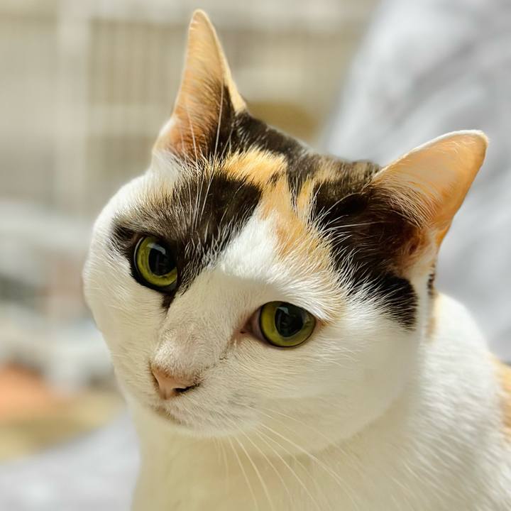 79aaed54 4d0e 4c86 941b a4d226916a96 1702687293221