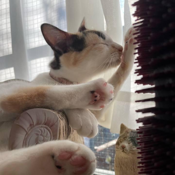 79ab0a96 90f3 466a 9b87 8e96302c0036 1677281237242