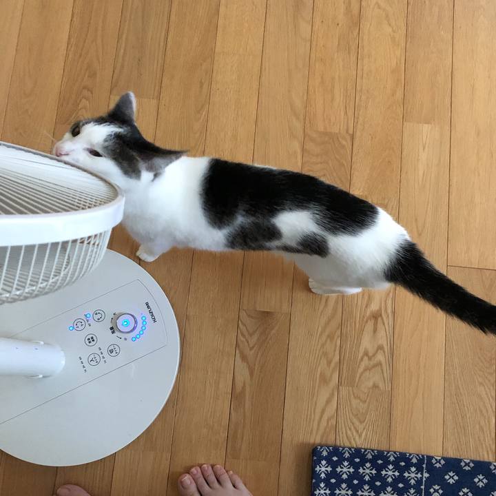 79ab2a82 3c71 4edb 9d06 05e5abdb25a5 1625608163926