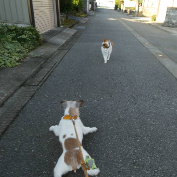 79ab3d79 523e 4cca bc70 51b4fa927c35 1604142594137