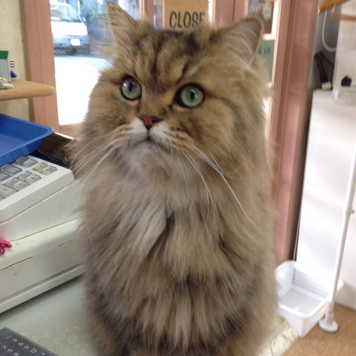 79ab69a9 ea31 4bf6 95fb 7c4c6c24de08 1510885846566